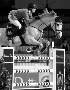 Grid Gallery Post Type